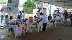 17ª Festa do Boi Ralado no Espeto e 1ª Festa Frango Ralado 